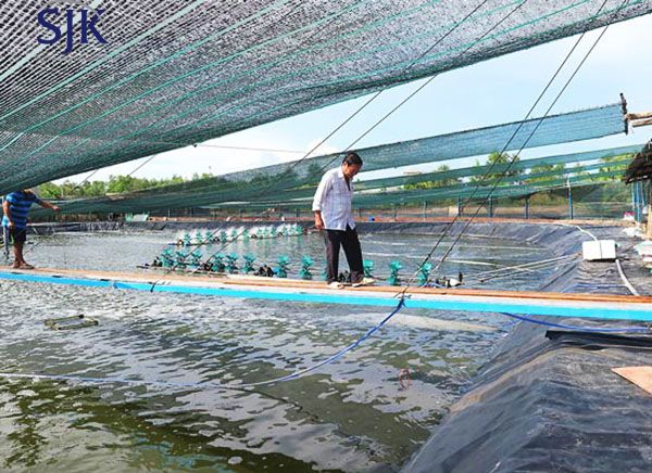 Tăng đơ thép - Quyết định chất lượng, tiến độ mọi công trình