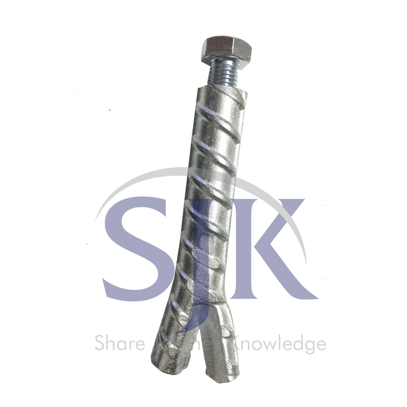 Bulong đuôi cá - SJK Việt Nam